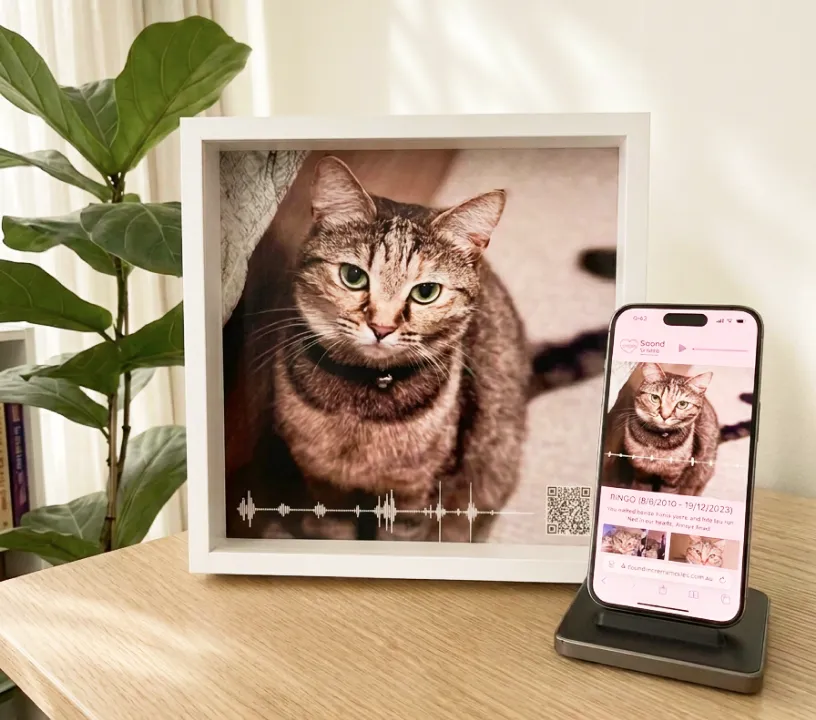 Soundwave photo frame